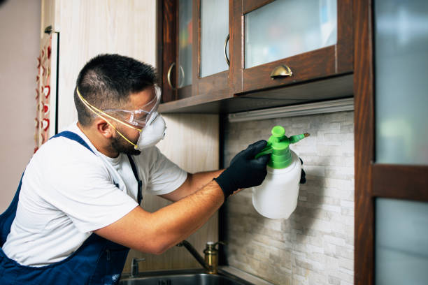 Best Pest Control for Homes  in Wfield, IN