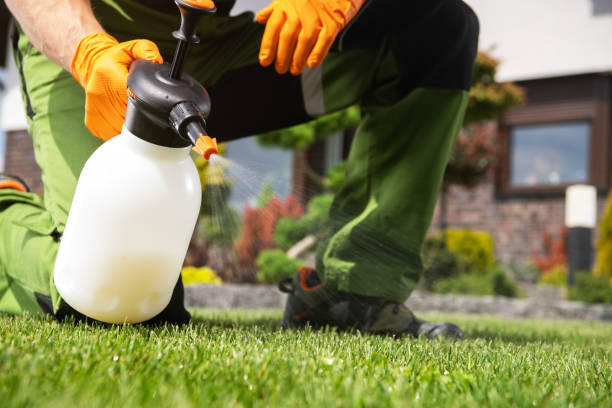 Best Emergency Pest Control  in Wfield, IN