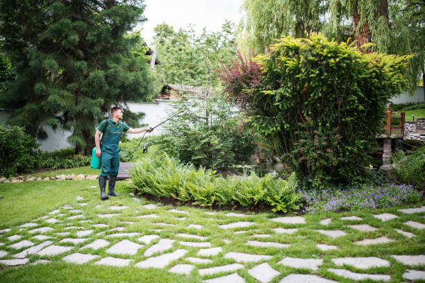 Best Pest Removal Services  in Wfield, IN