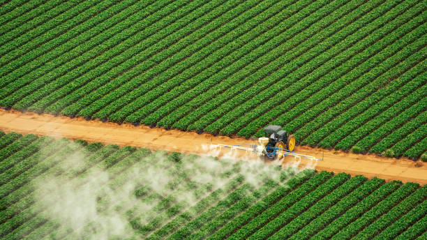 Best Pest Control for Businesses  in Wfield, IN