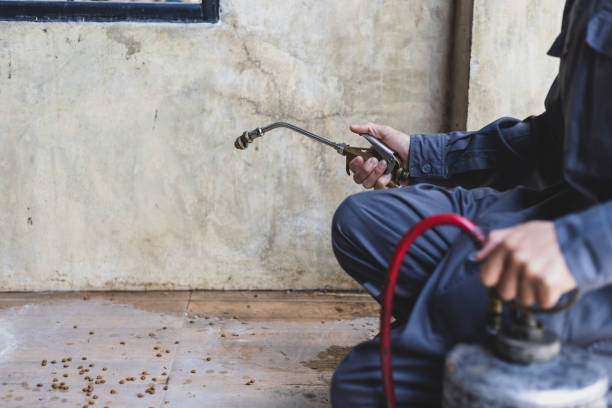 Best Local Pest Control Services  in Wfield, IN